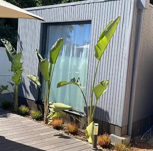 Casa Malpique 게스트하우스 3*