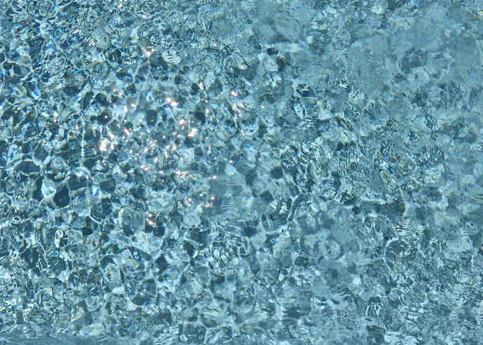 Casa Malpique 게스트하우스 알부페이라