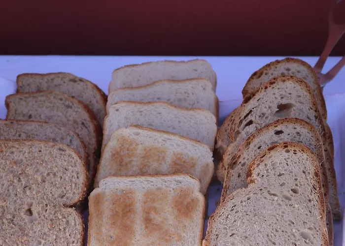 게스트하우스 Casa Malpique 3*